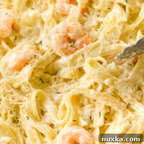 Restaurant-Style Shrimp Alfredo 3 creamy garlic shrimp Alfredo recipe with boiled shrimp not pan fried