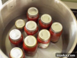 how to make canned ketchup step by step