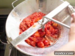 how to use a food mill for canned tomato sauce