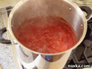 homemade ketchup simmering on the stove