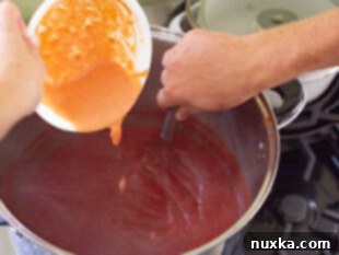 how to thicken ketchup with Thermflo