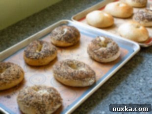 Freshly baked sourdough bagels with seasoning