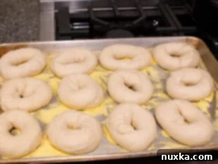 Sourdough bagel dough rising in a bowl