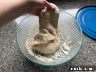 stretch and fold the dough