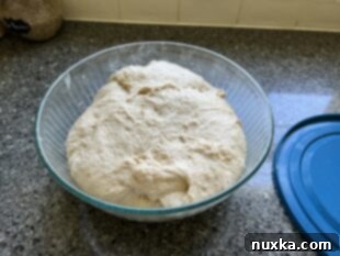 bulk-fermentation of whole wheat sourdough bread
