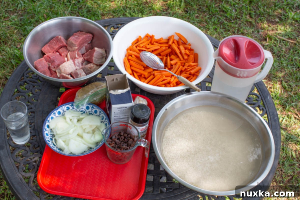 All the ingredients for Uzbek Plov laid out: long-grain rice, lamb or beef chunks, carrots, onion, garlic, water, Plov seasoning, and cumin seeds
