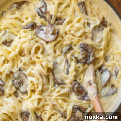 mushroom Alfredo like Olive Garden Alfredo sauce, showing a close-up of a serving of pasta