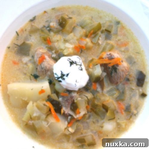 Rassolnik Ukrainian Pickle Soup 6 Top-down view of Ukrainian Pickle Soup (Rassolnik) in a bowl