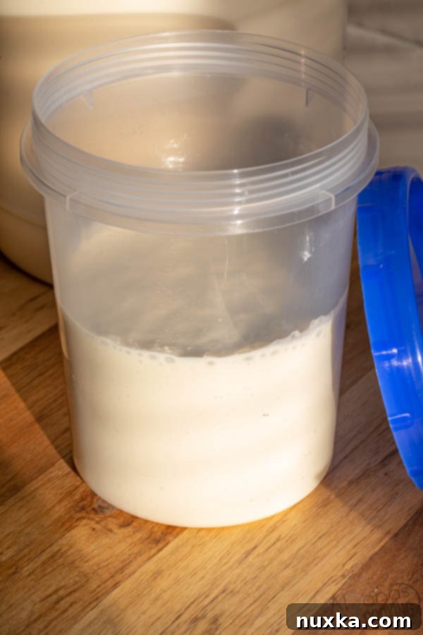 How an active sourdough starter is carefully packaged for shipping to ensure freshness and vitality.