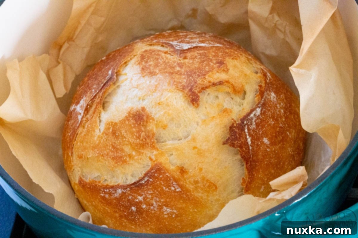 how to make sourdough bread win a dutch oven with sourdough starter 