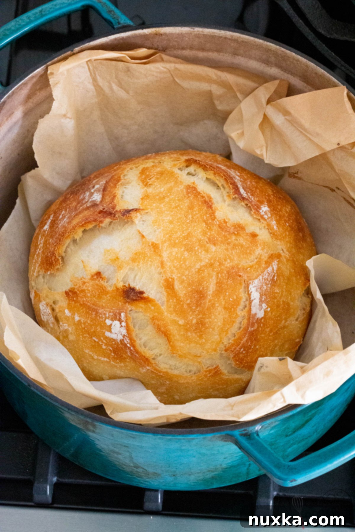 no-knead bread recipe with sourdough starter or you can make with dry active yeast 