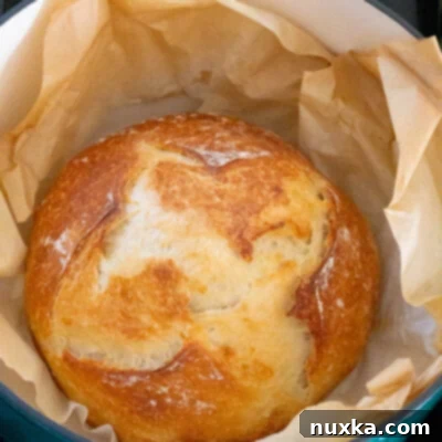 Effortless Sourdough Loaf 2 how to make no-knead-bread-recipe-with-sourdough-starter