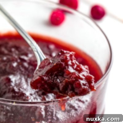 Craisin Cranberry Sauce 5 cranberry-sauce-recipe