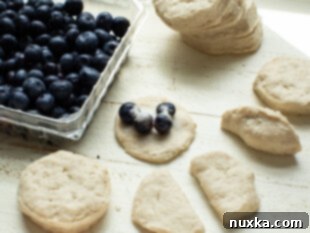 Step 3: Fill biscuit dough with blueberries and sugar, then pinch to seal.