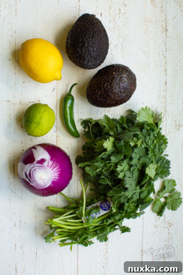 A flat lay image displaying all the fresh guacamole ingredients: ripe green-skinned Hass avocados, fresh cilantro, a whole jalapeno pepper, lemon, lime, and a purple red onion, essential for making authentic Chipotle style guacamole.