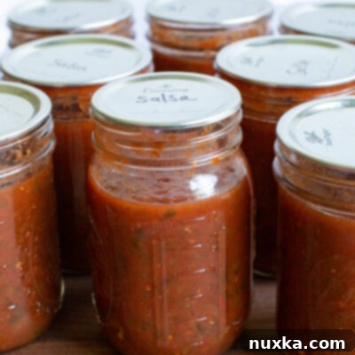 Perfect Homemade Salsa for Canning 2 salsa recipe for canning