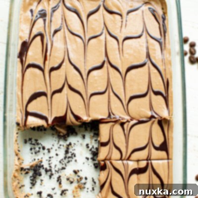 Iced Mocha Indulgence 3 no-bake mocha dessert