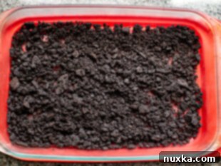 Oreo crust for mocha frozen dessert