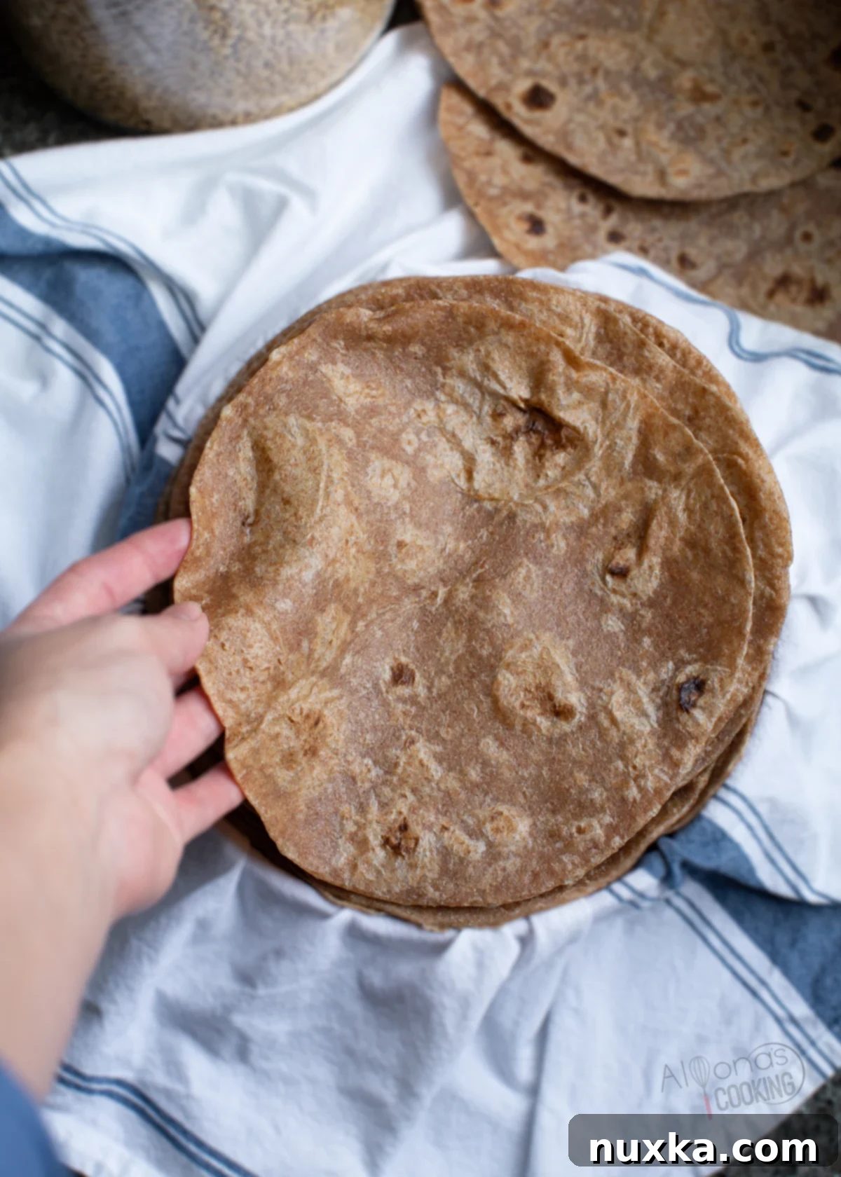whole wheat flour tortillas