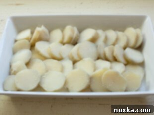 Sliced pre-cooked potatoes arranged in a baking dish