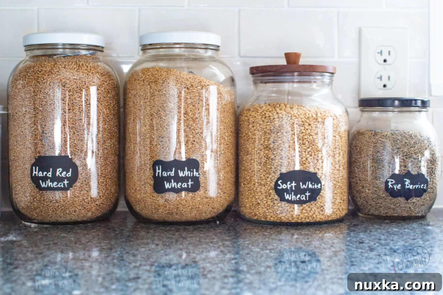 grains to make whole wheat flour (a complete guide to baking with whole wheat flour)