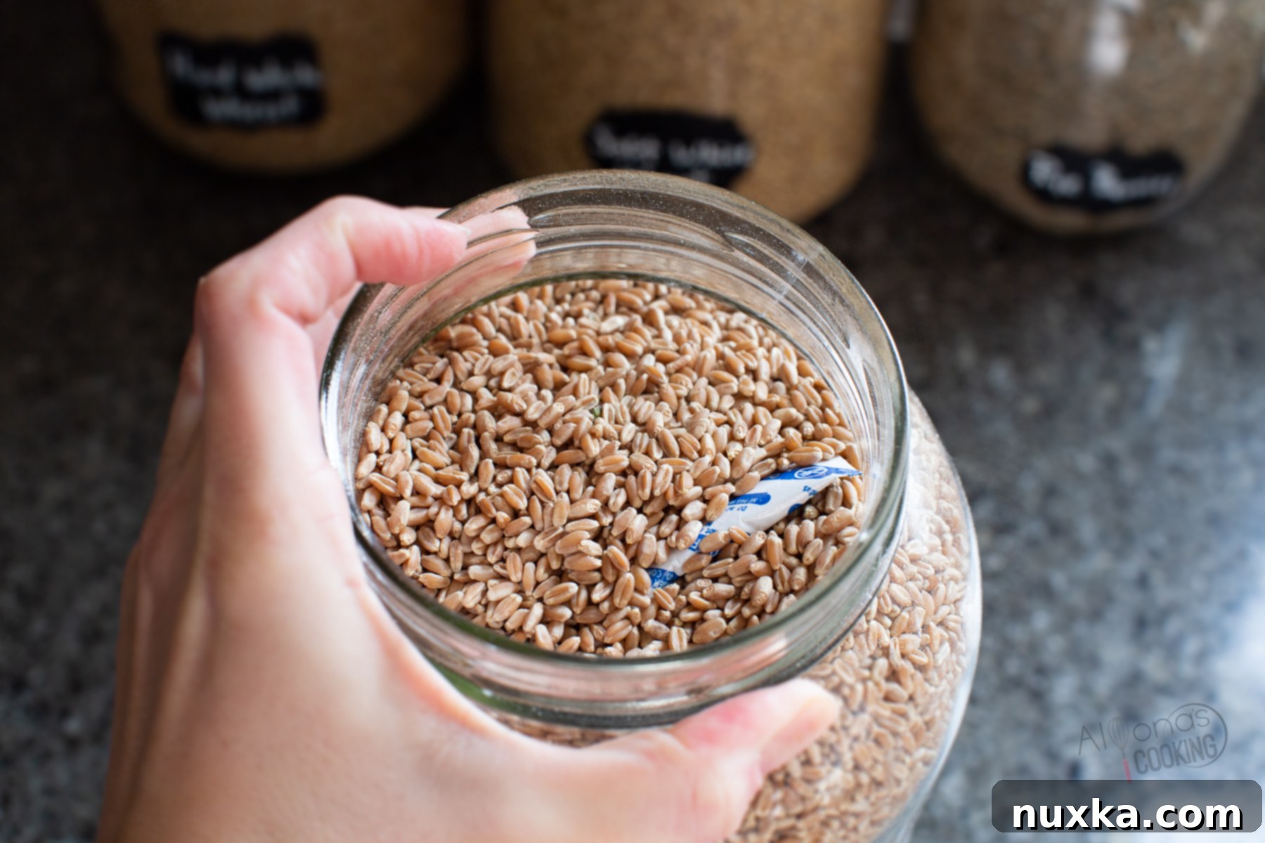 hard red wheat berries