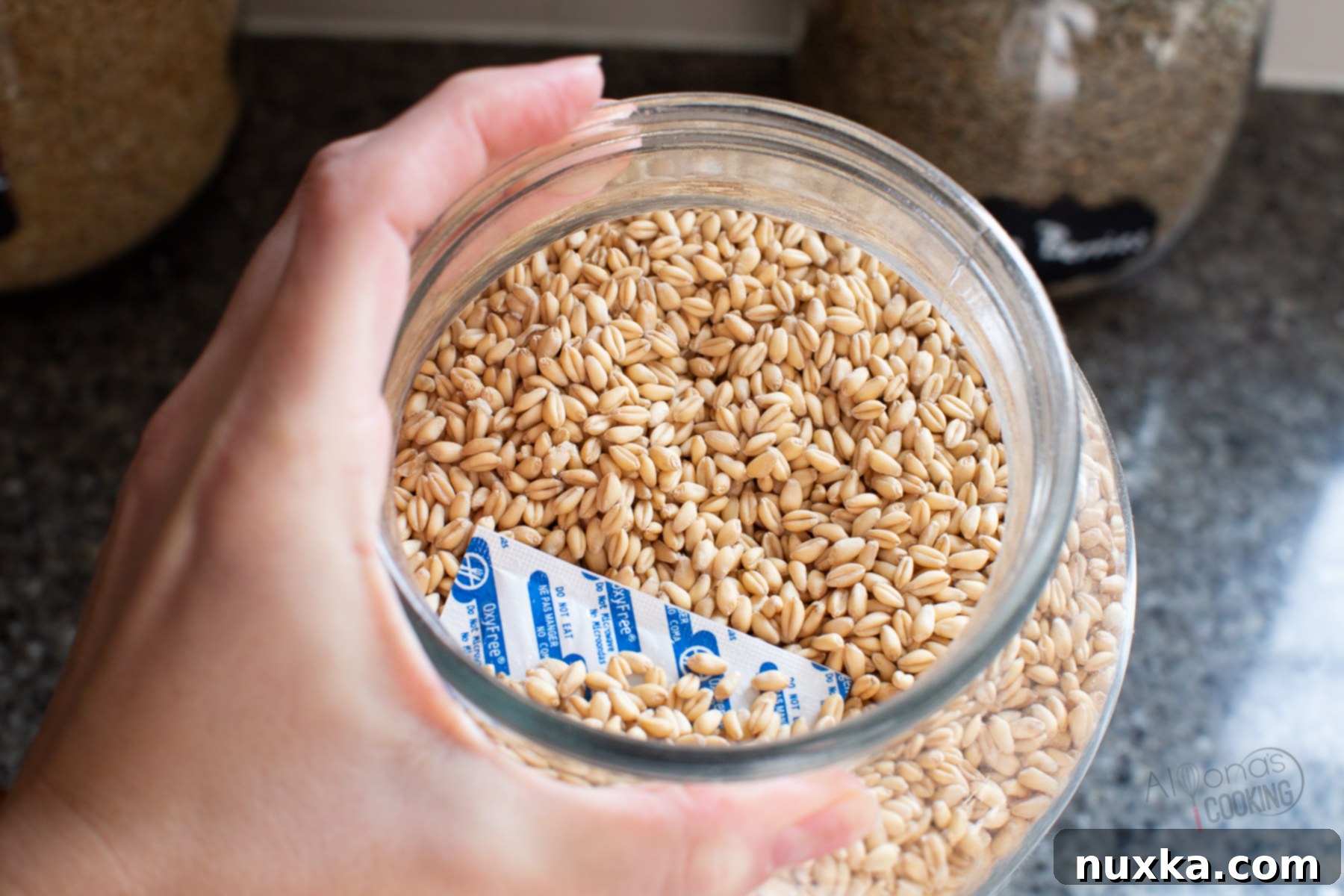 soft white wheat berries 