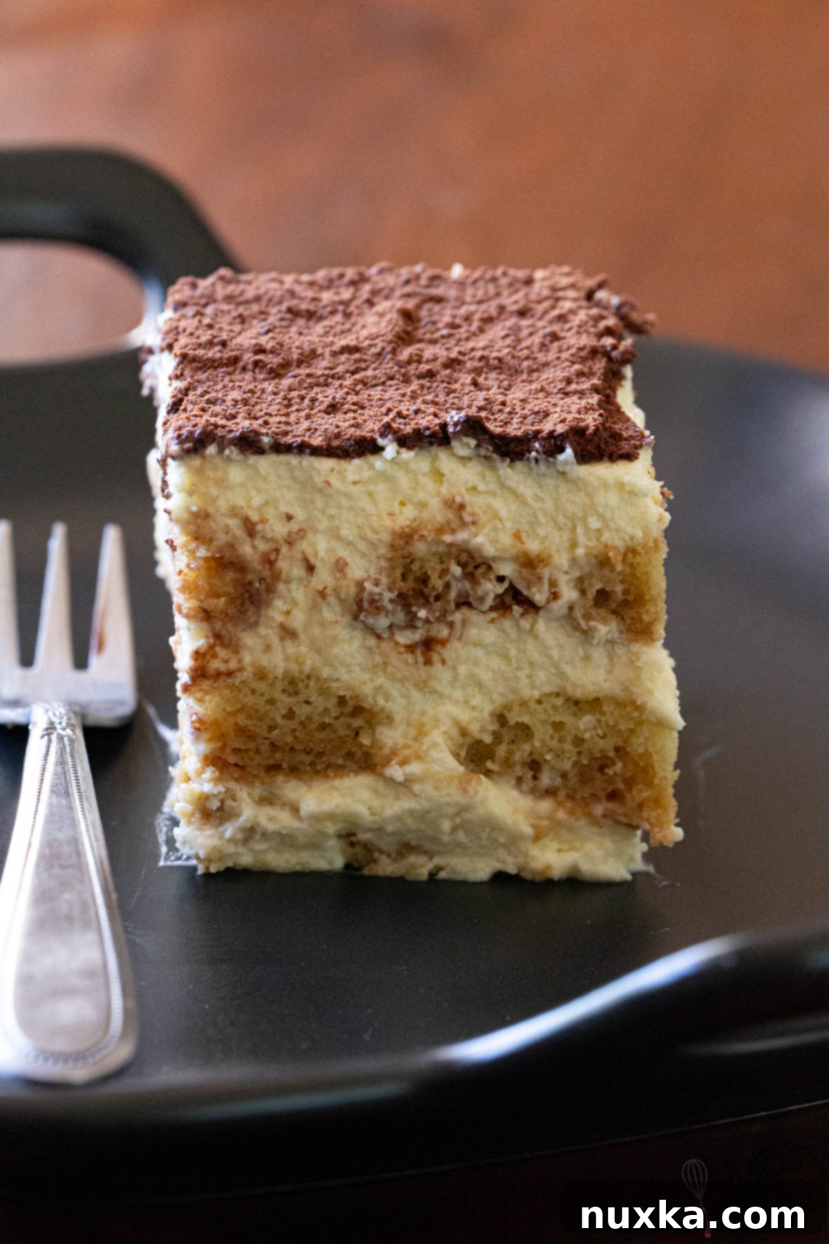 A slice of Tiramisu 