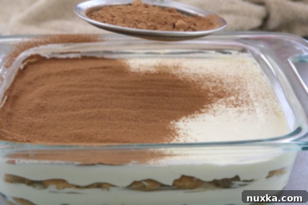 How to dust Tiramisu with cocoa powder 