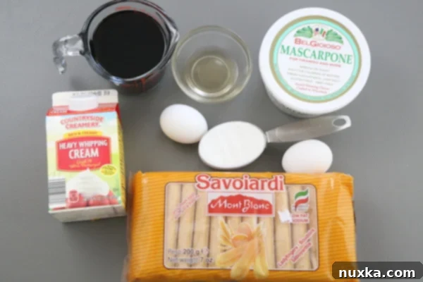 Ingredients for a Tiramisu Recipe 