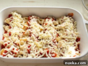 Stuffed shells assembled in a baking dish, covered with sauce and mozzarella cheese.