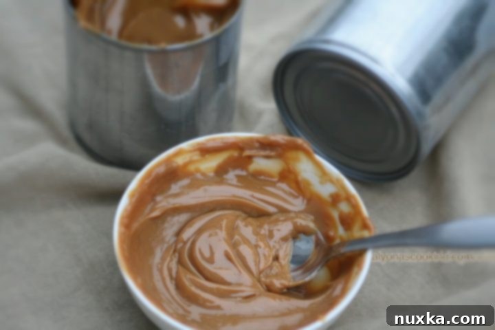 Rich and creamy Dulce de Leche, a homemade caramel sauce made from condensed milk, perfect for desserts.