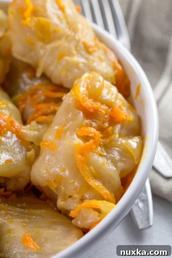 cabbage-rolls-potato-filled-golubsti-alyonascooking-