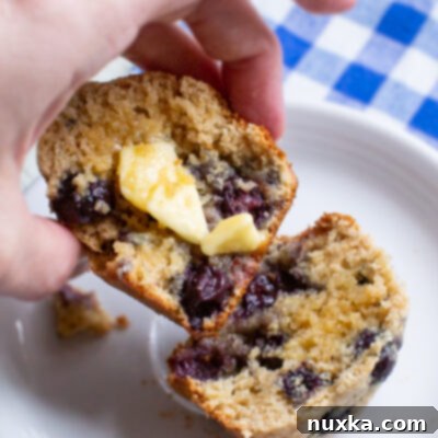 Delicious Whole Wheat Blueberry Muffins 2 blueberry muffin recipe with whole wheat flour