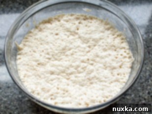 focaccia sponge