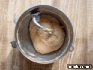 whole wheat hamburger bun dough, ready for the first rise