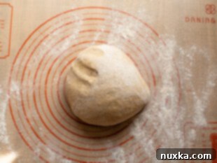 dough getting ready to be divided, after the first rise