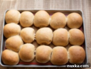 baked whole wheat hamburger buns fresh from the oven
