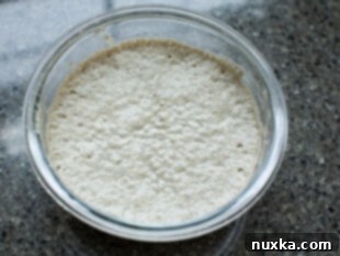rye Poolish (sponge)