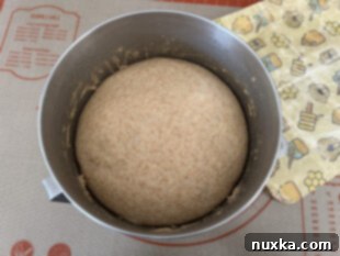 risen whole wheat sandwich bread dough