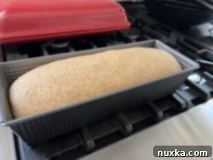 risen whole wheat loaf in bread pan, ready for baking