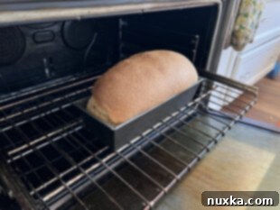 baked golden brown whole wheat sandwich loaf