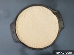 rolled out pizza dough from freshly milled flour on a cornmeal-dusted surface