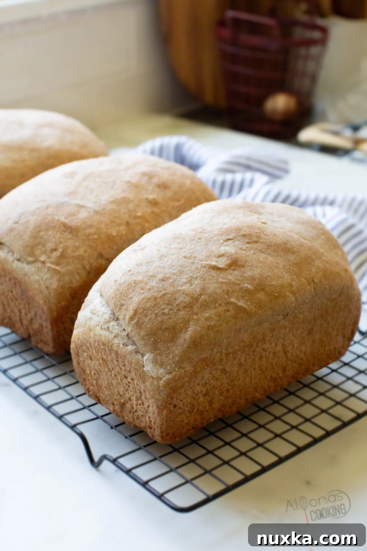 100% whole wheat sourdough bread, perfect for sandwiches and toast, showcasing a soft texture and golden crust.
