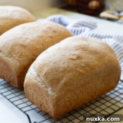 Hearty Freshly Milled Whole Wheat Sourdough Sandwich Loaf 6 100% whole wheat sourdough bread