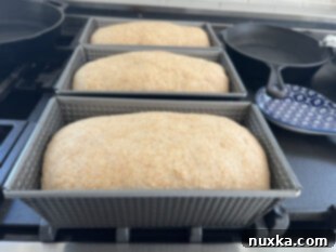 risen loaves