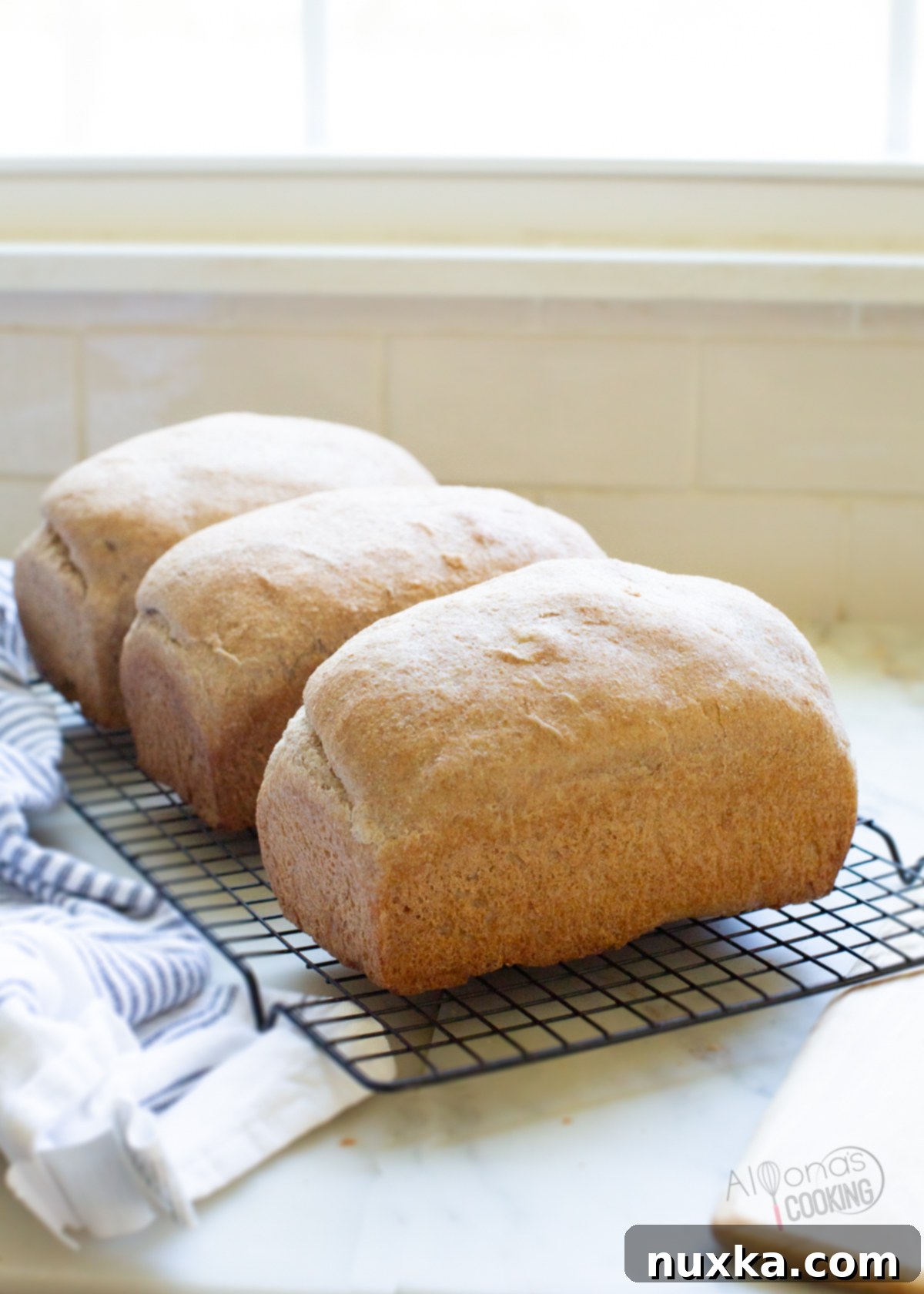 Freshly milled whole wheat sourdough sandwich bread dough in a container, ready for shaping.