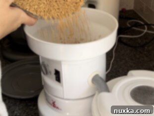 Freshly milled hard white wheat flour for bagels