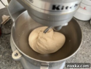 Whole wheat bagel dough in a stand mixer