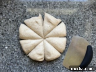 Divided sourdough bagel dough on a work surface